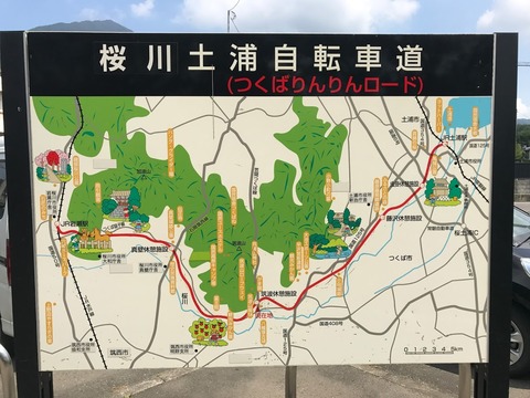 nashi13