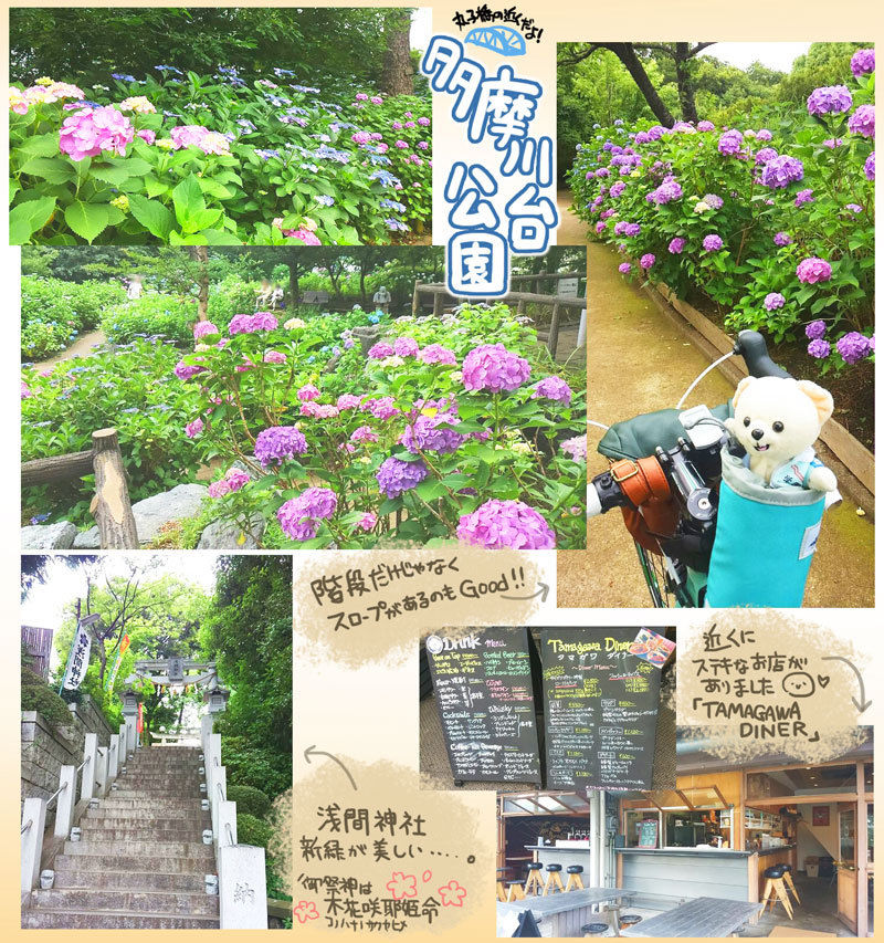 多摩川台公園