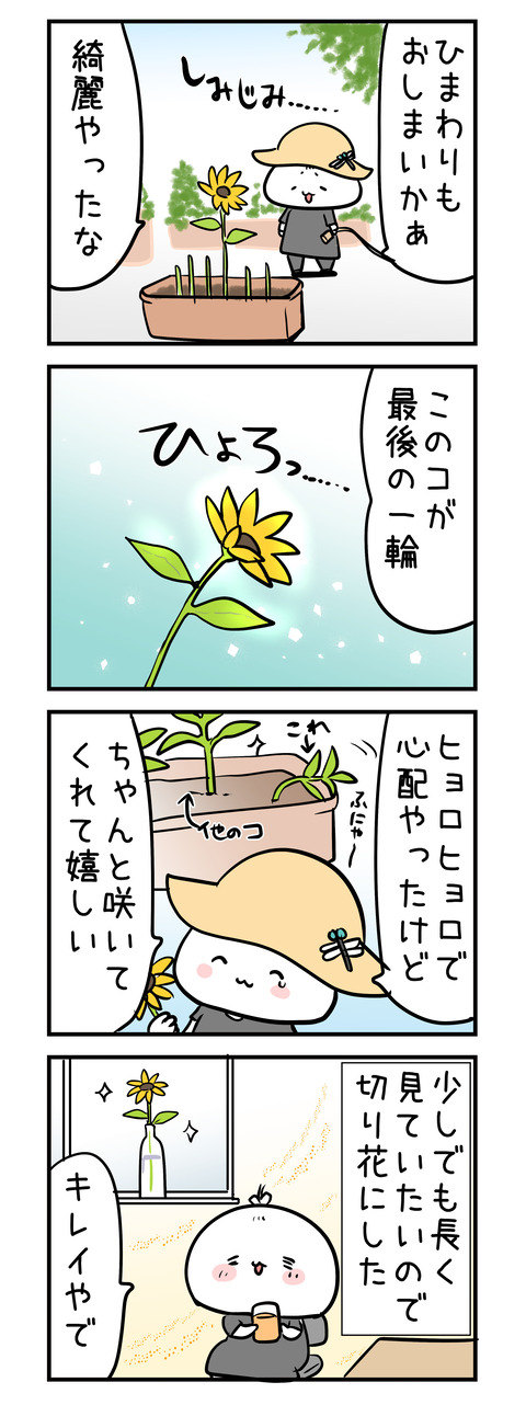 natsunoowari_himawari