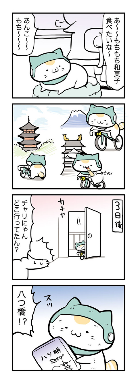チャリにゃんキャノンボール