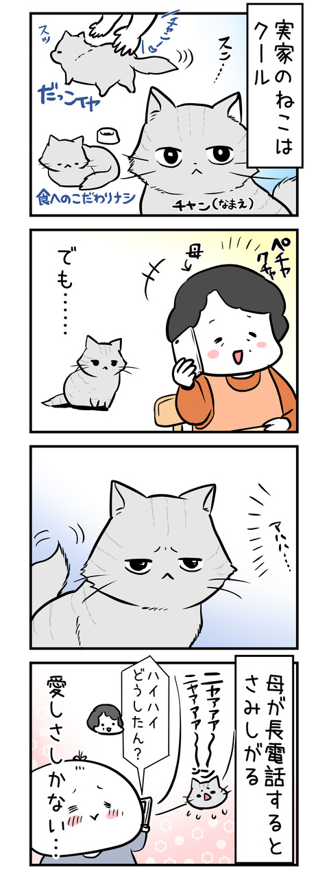 chan_samisii