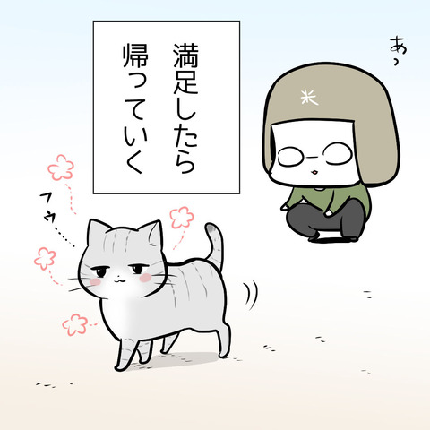 oshiri_cat2