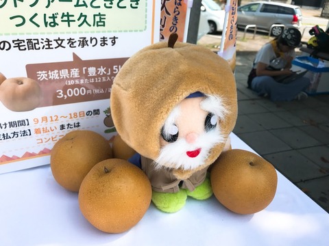 nashi04
