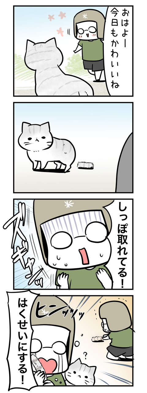 sippo_toreteru