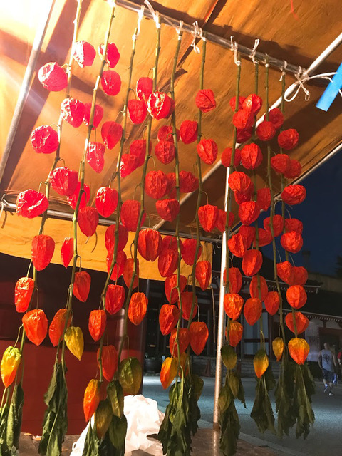 20170709_photo03