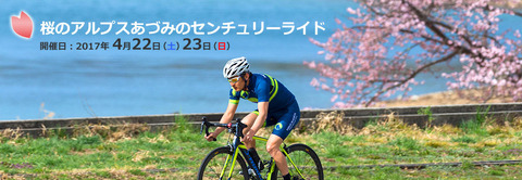slide2017_sakura