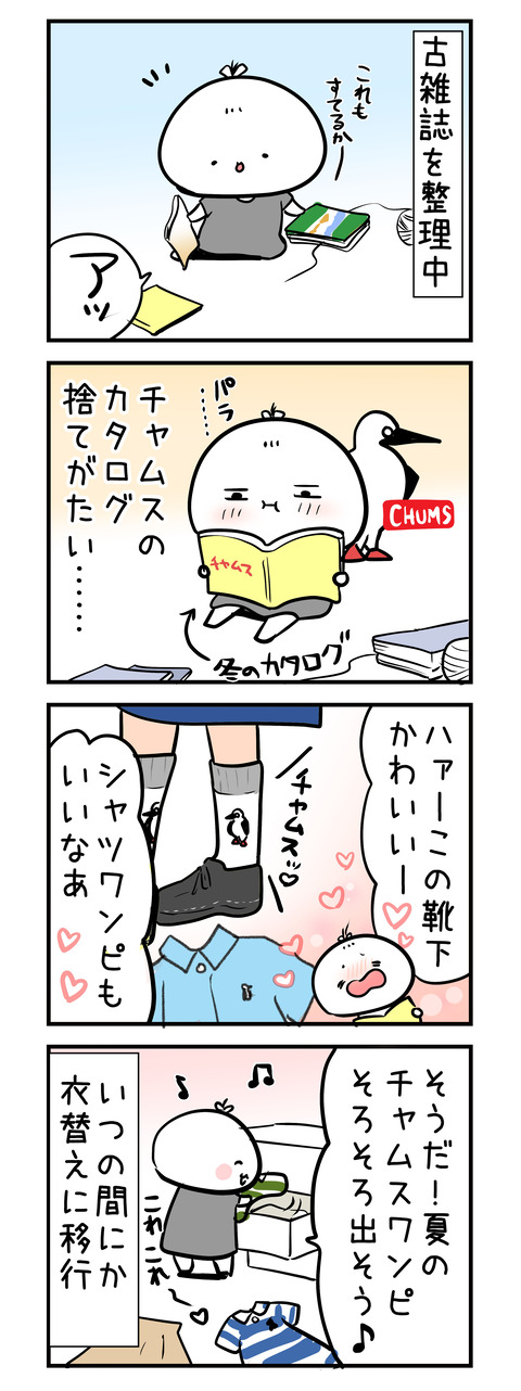 chams_summer