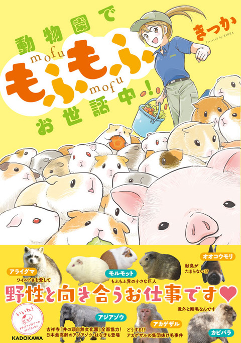 もふもふ表紙