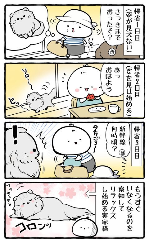 zikka_neko_bon