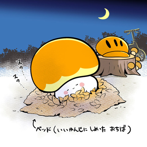kinoko_night