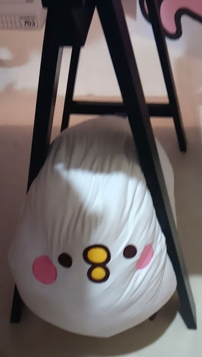 pisuke