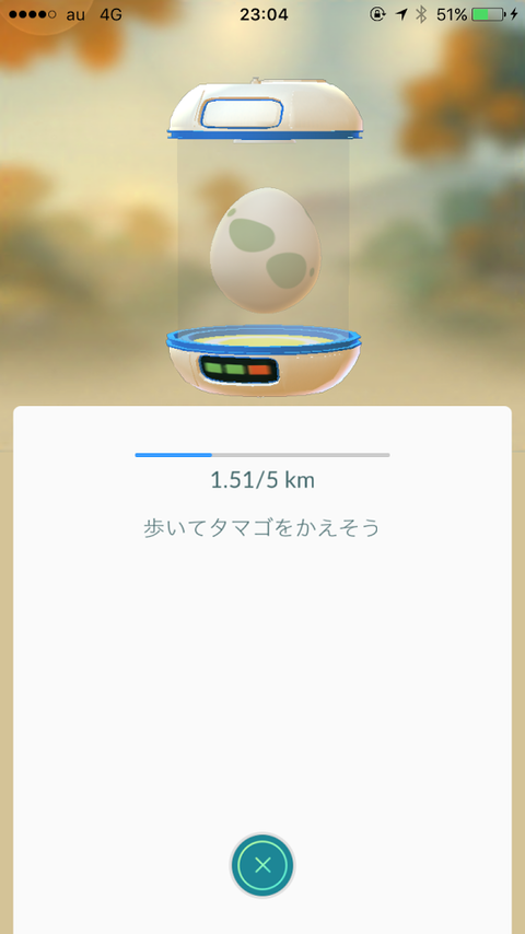 egg06