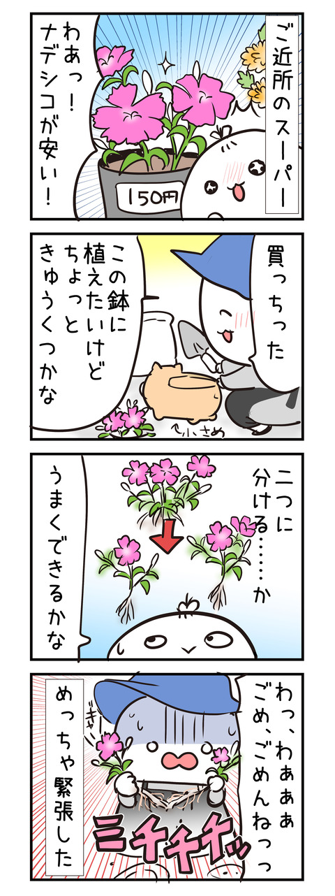 nadeshiko_wakeru