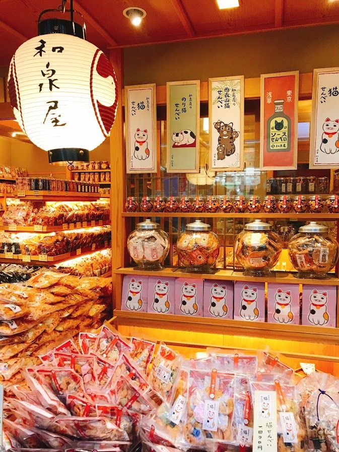 浅草のねこせんべい かめちゃり 亀が無理してロードバイク乗ってみた Powered By ライブドアブログ