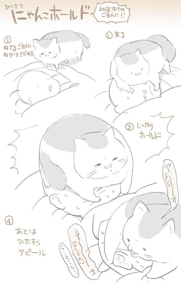 ねこの必殺技
