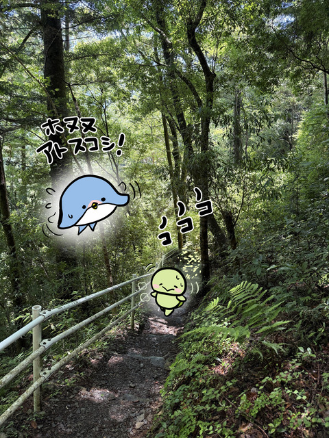 okuooi_honunu03