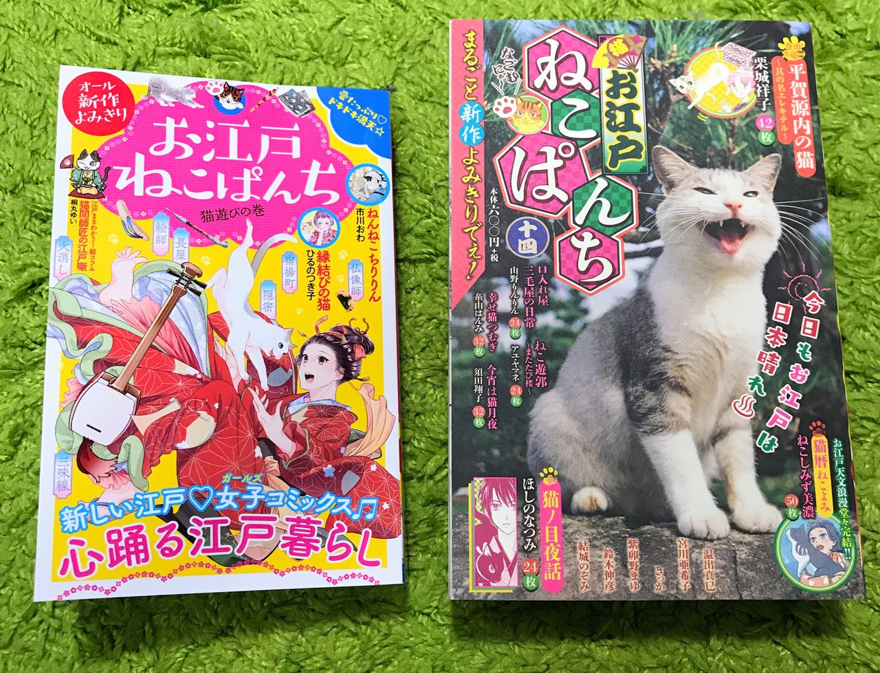 新作掲載 お江戸ねこぱんち かめちゃり 亀が無理してロードバイク乗ってみた Powered By ライブドアブログ