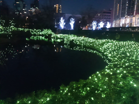 20161218_xmas03