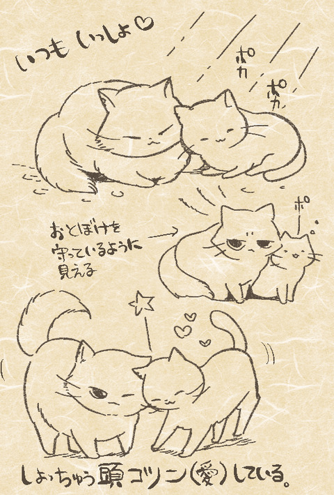 otoboke_gabugabu_cat02