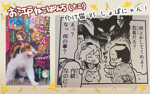 お江戸13