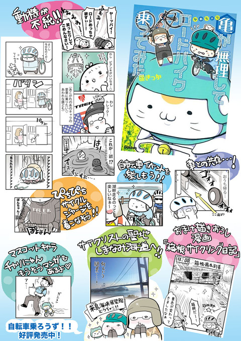亀チャリ見どころ紹介
