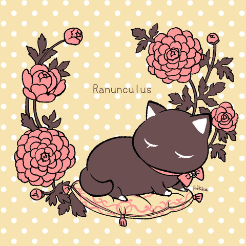 ranunculus