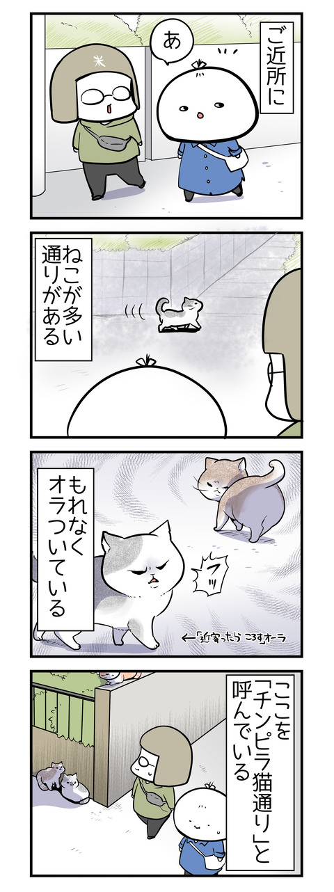 cinpiraneko