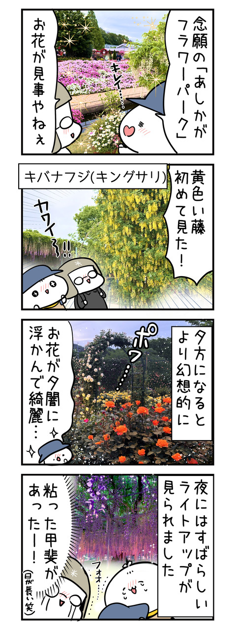 ashikaga_flower_park02