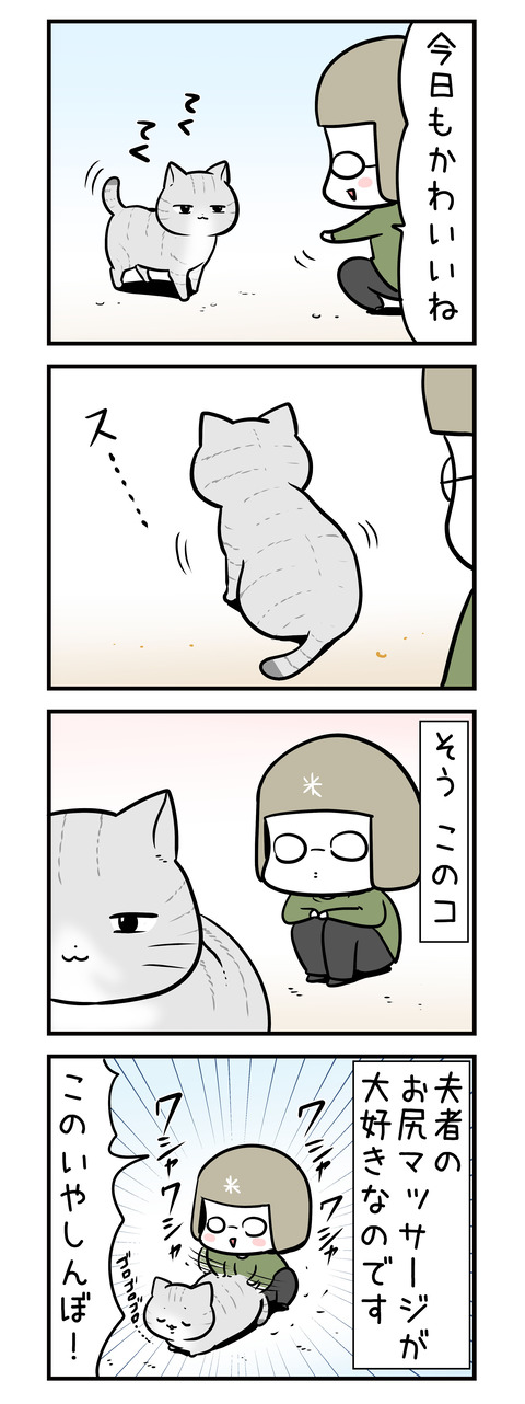 oshiri_cat