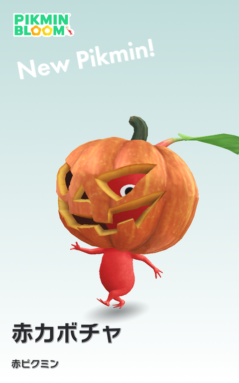 red_pampkin