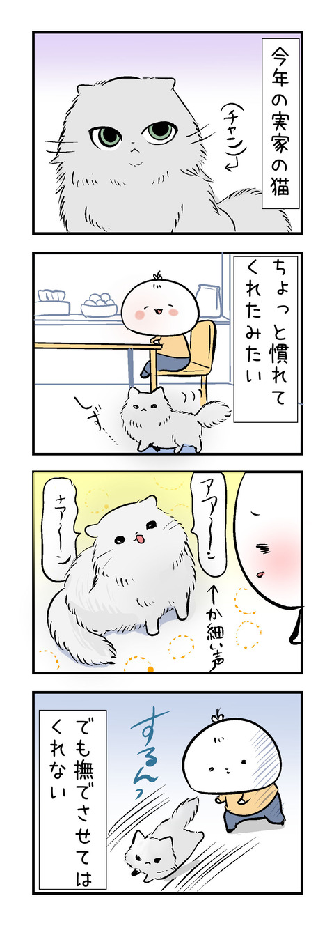 Zikkanoneko