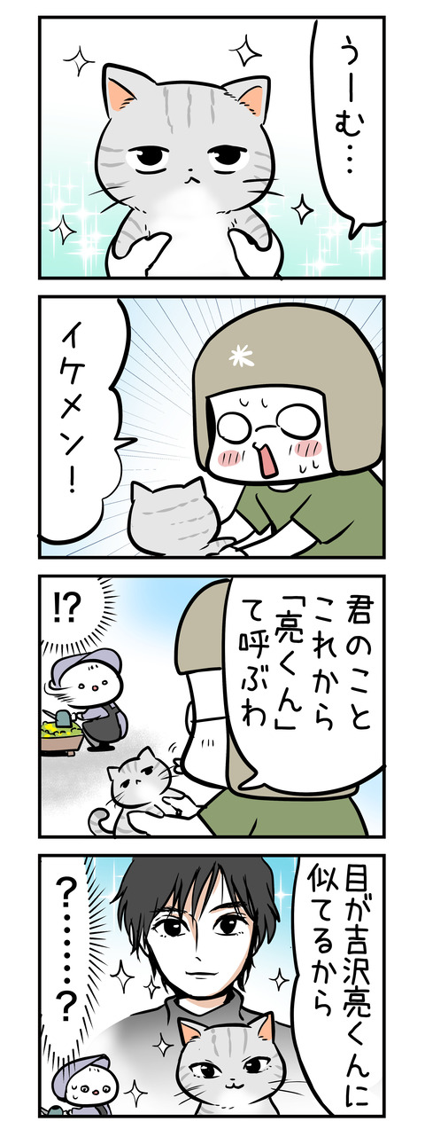 ryoukun_neko