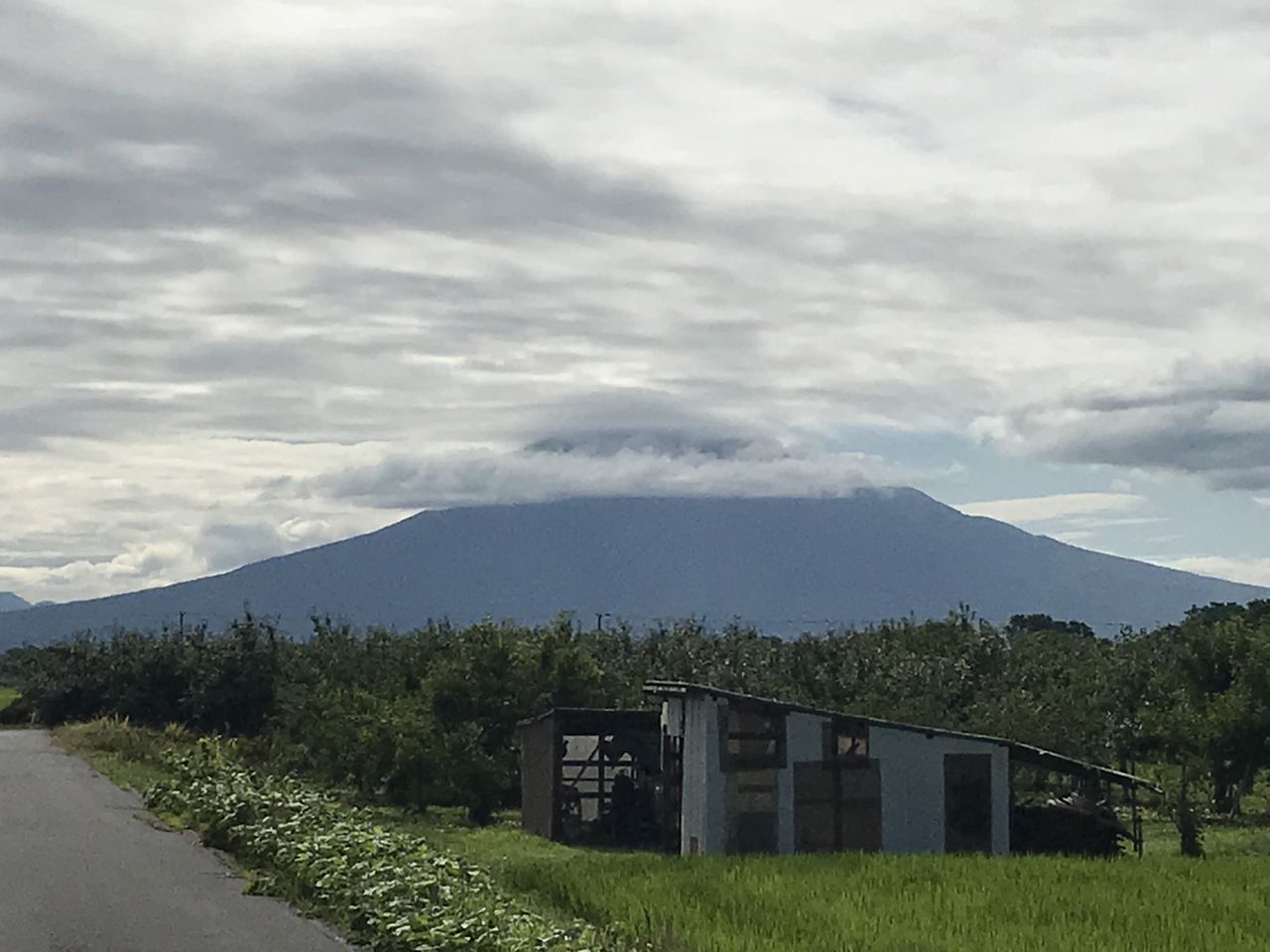 チャレンジ岩木山ヒルクライム19に参戦 産地直送きっかのまんがファクトリー Powered By ライブドアブログ