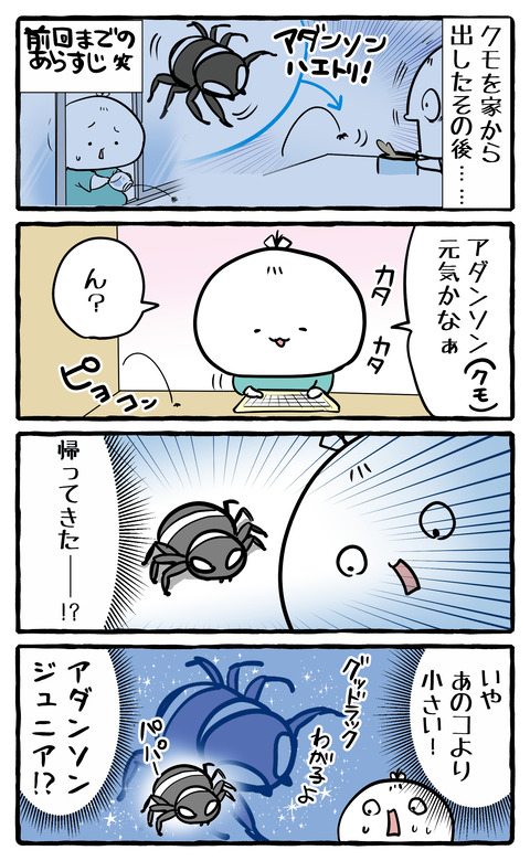 kumo_jr