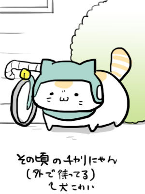 その頃のチャリにゃん