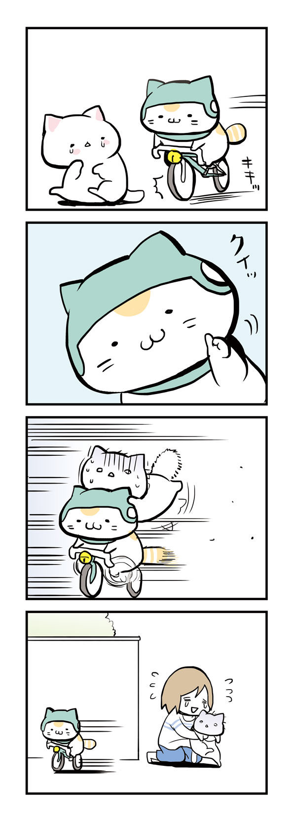 チャリにゃんとしょぼにゃん かめちゃり 亀が無理してロードバイク乗ってみた Powered By ライブドアブログ