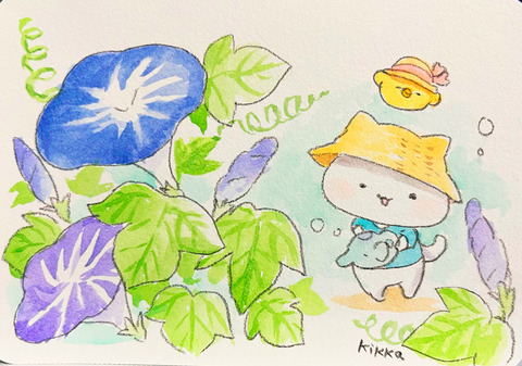asagao_syobo26