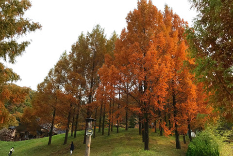 20161124_park05
