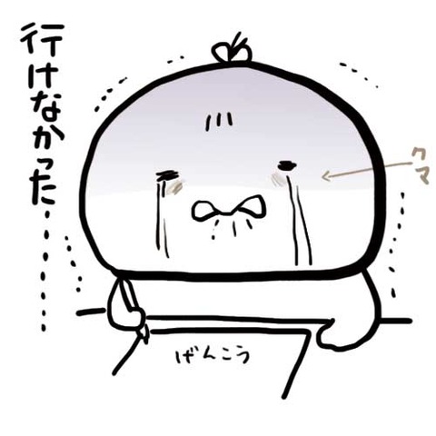 行けなかった
