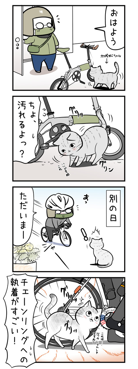 cat_ring