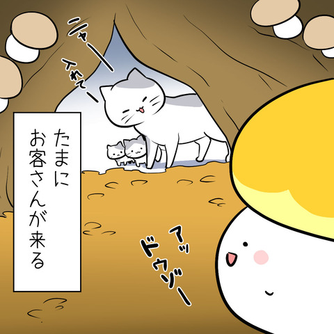 kinoko20_b