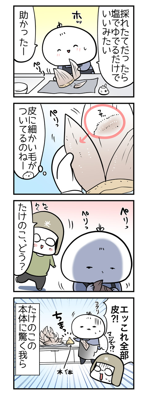 takenoko03