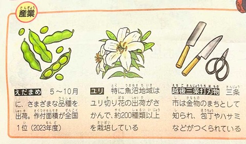 nigata_sangyo