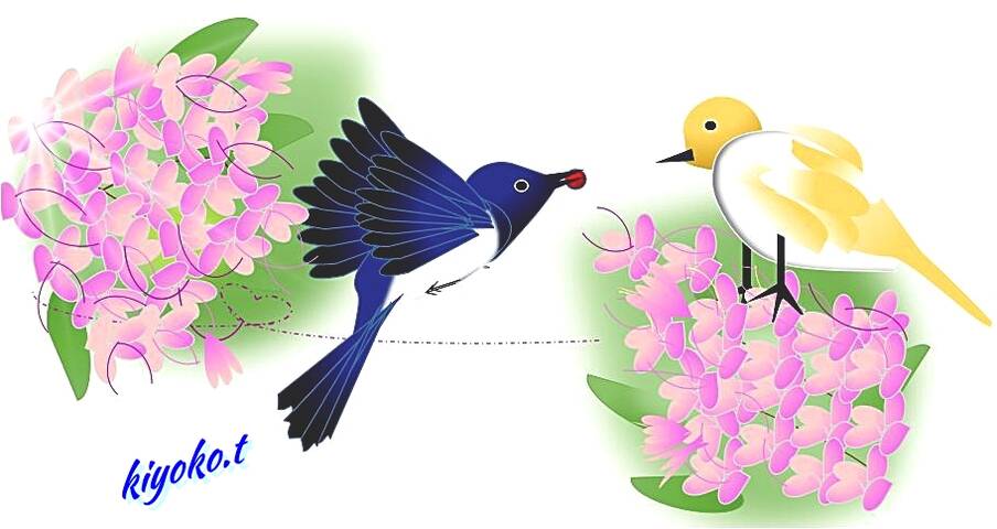 Excelart オオルリ 野鳥綴り へなちょこカメラ主婦は今日もゆく Excelart オオルリ 野鳥綴り へなちょこカメラ主婦は今日もゆく