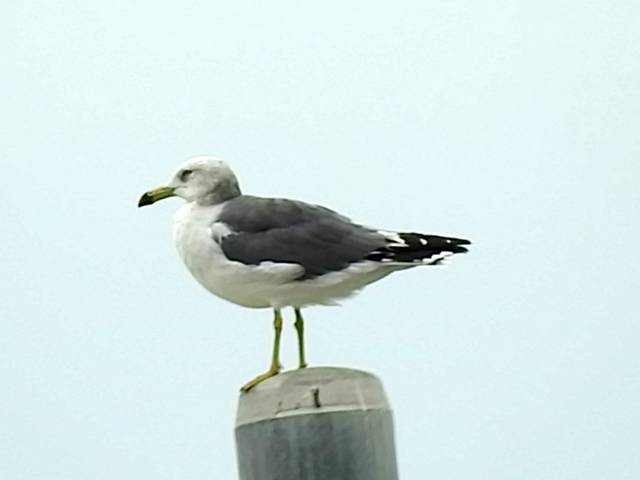 DSCN0056