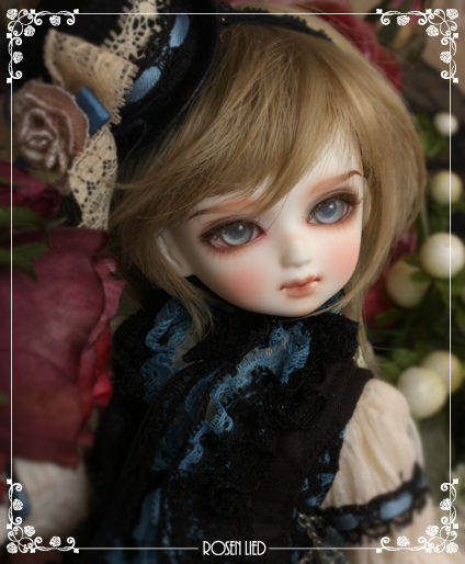ROSEN LIED】 限定DOLL発売 : 147cm *いちよんなな* ROSEN LIED】 限定DOLL発売 : 147cm *いちよんなな*