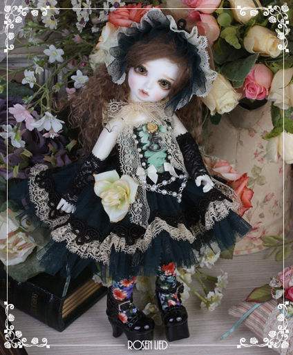 ROSEN LIED】 THE ONE発売 : 147cm ＊いちよんなな＊