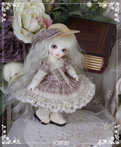ROSEN LIED】 THE ONE発売 : 147cm ＊いちよんなな＊