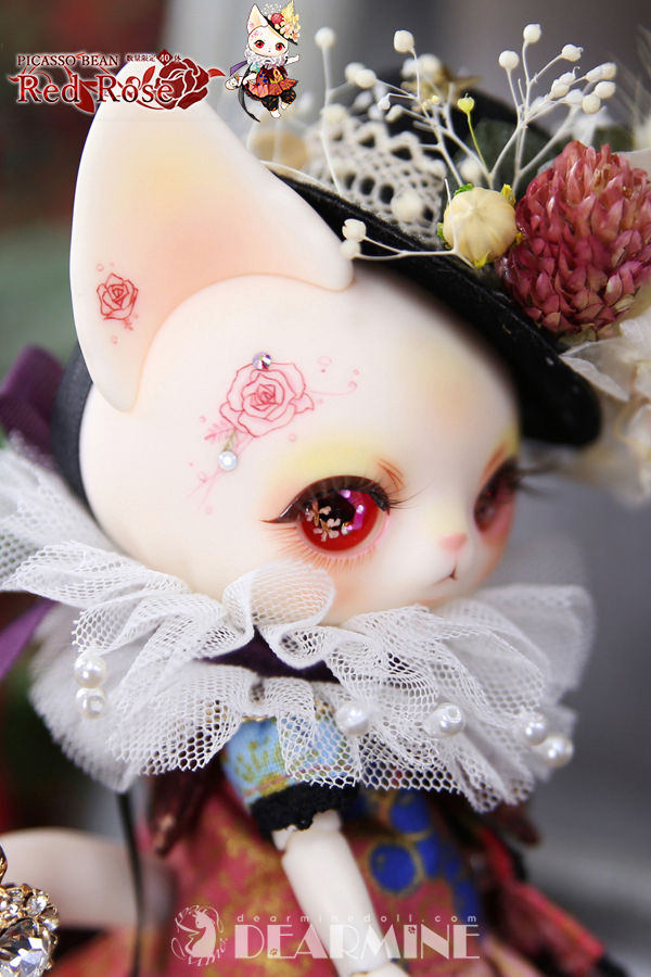 DOLK×DEARMINE】PICASSO bean -キョンキョンにゃんしー 【公式通販】