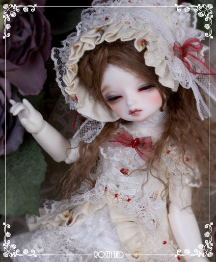 ROSEN LIED】 THE ONE発売 : 147cm *いちよんなな* ROSEN LIED】 THE ONE発売 : 147cm *いちよんなな*